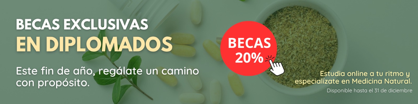 WhatsApp Image 2025-11-17 at 17.59.04